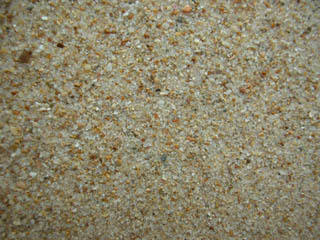 Hierbabuena, Barbate
